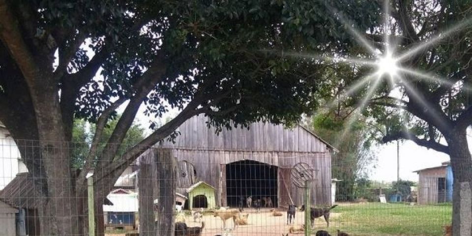 Com acúmulo de dívidas, Arca de Camaquã suspende atendimentos 