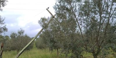 Vereador camaquense cobra da Aneel providência para atendimento de protocolo da CEEE Equatorial