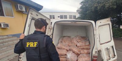 Carga de peixes de Rio Grande é apreendida pela PRF por transporte irregular na BR-116