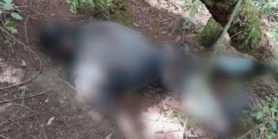 Polícia confirma que cadáver encontrado na zona rural de Encruzilhada do Sul é de assaltante a banco de Santana da Boa Vista