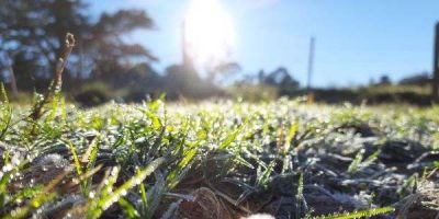 Sol aparece em todas as regiões e RS terá amanhecer gelado nesta sexta-feira