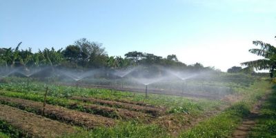 Fundo Municipal de Desenvolvimento Rural se consolida como política pública em Eldorado do Sul