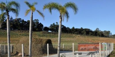 DNIT inaugura sítio de visitação de primeira paleotoca encontrada em Pelotas