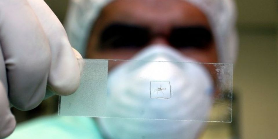 Secretaria da Saúde notifica mais sete óbitos por dengue no RS