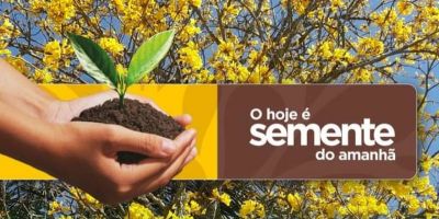 Afubra prepara programação especial em comemoração aos 20 anos da Bolsa de Sementes