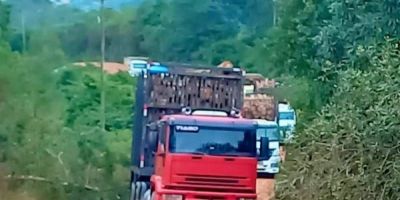 Trânsito é liberado na ERS-354 entre Camaquã e Amaral Ferrador