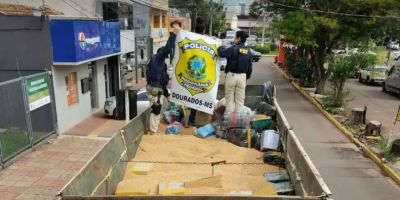 PRF faz a maior apreensão de maconha do ano no Brasil