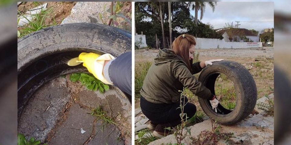 Agentes de Combate às Endemias realizam ação de eliminação de focos do Aedes aegypti em Camaquã