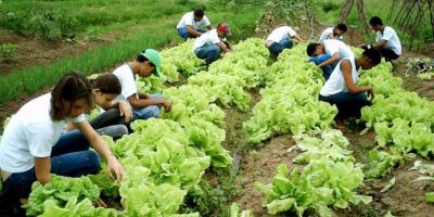 Inscrições para o Bolsa Juventude Rural terminam em 5 de julho