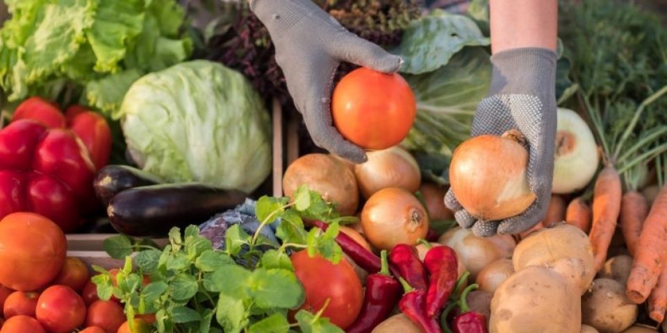 Licitação deve definir famílias que irão vender na Feira do Produtor em Camaquã