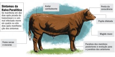 Suspeita da doença raiva em São Lourenço do Sul