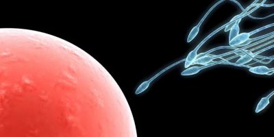 Dieta mediterrânea: veja influência na fertilidade e no sucesso em tratamentos reprodutivos 