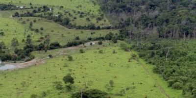 Proprietário rural pode emitir Certificado de Cadastro de Imóvel