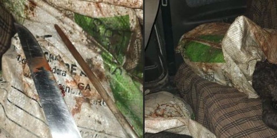 Homem é preso em flagrante por abigeato em Tapes