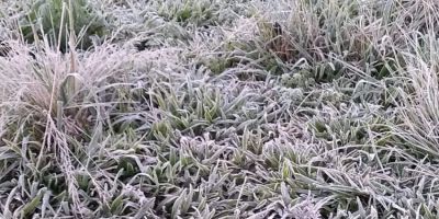 Quinta-feira será de sol e bastante frio no RS