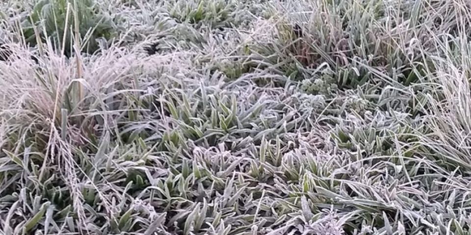 Quinta-feira será de sol e bastante frio no RS
