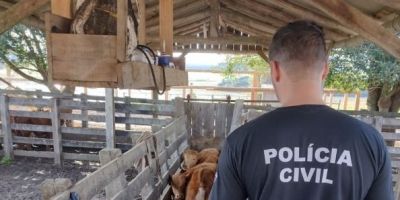 Após apreensão durante ofensiva policial, terneiros são restituídos pela Polícia Civil na região de Camaquã