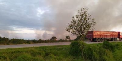 Incêndio em vegetação é registrado na BR-116, no acesso sul a Camaquã