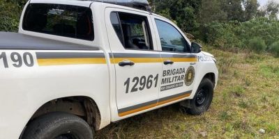 Homem é preso em flagrante após furtar e abusar sexualmente de cachorro na Serra do RS