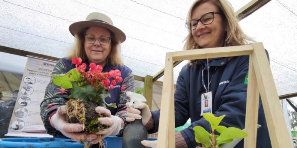 Técnica japonesa para o cultivo de plantas ornamentais é demonstrada pela Emater/RS-Ascar