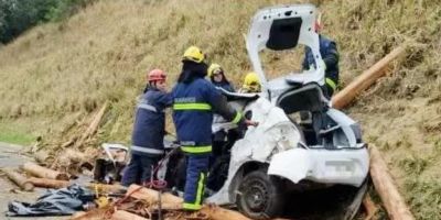 Quatro pessoas morrem esmagadas por toras de madeira no Paraná