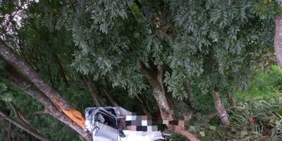 Homem morre após colidir contra uma árvore em Estrela