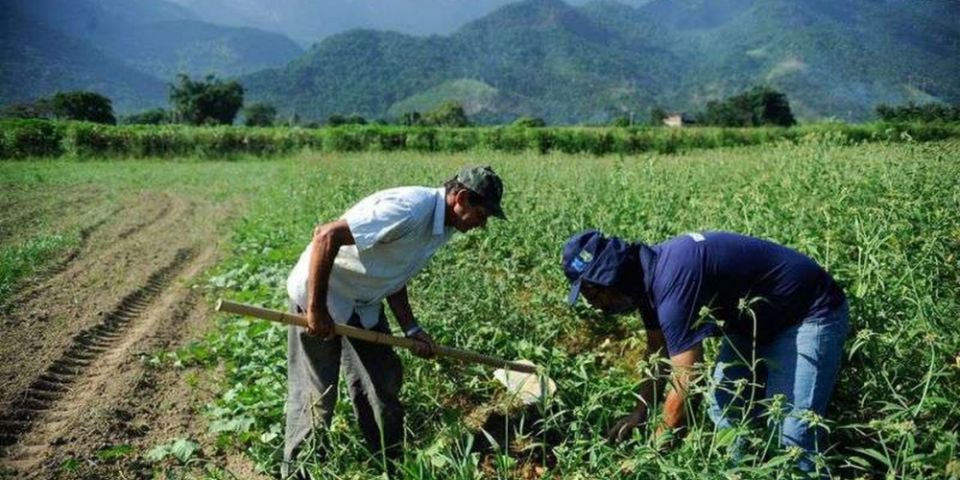 SOS Estiagem: 69 mil agricultores devem receber auxílio do governo do RS