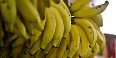 Conab: menor oferta eleva preços de hortaliças e frutas em setembro