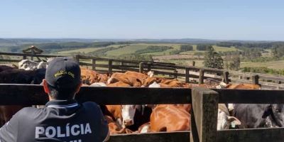 Secretaria Estadual de Agricultura e Decrab Camaquã realizam vistorias em propriedades rurais de Arroio dos Ratos