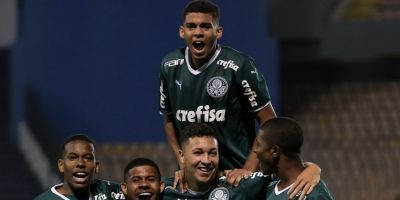 Palmeiras é campeão da Série A do Brasileirão