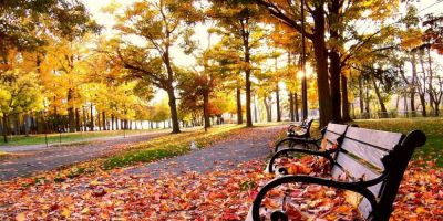 O outono começa oficialmente nesta quinta-feira (20/3) às 13h57