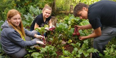 Projeto Verde é Vida promove diversas ações em escolas municipais