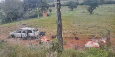 Morador flagra abigeatários em ação no interior de Sentinela do Sul