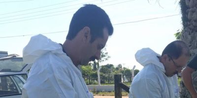 Investiga-se caso de suspeita de Mormo em Camaquã