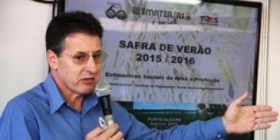 Colheita de grãos deve superar em 10,4% a média das últimas cinco safras