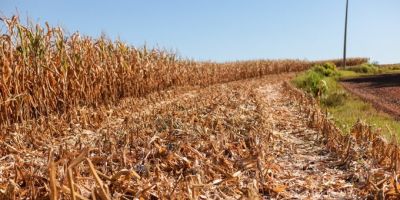 Agricultores familiares gaúchos podem acessar SOS Estiagem a partir desta quarta