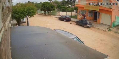 Cão é atropelado em frente a mercado e motorista foge sem prestar socorro em Camaquã