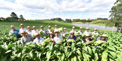 São Lourenço do Sul sedia a 5ª Abertura da Colheita do Tabaco no RS 