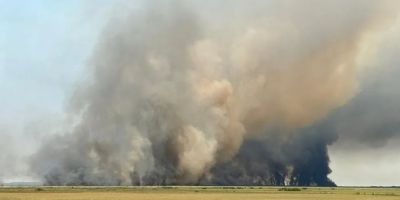 Incêndio consome 1 mil hectares de Estação Ecológica no Sul do RS