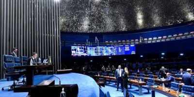 Senado aprova PL que facilita localização de doadores de medula óssea