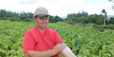 Agricultores podem retirar até três protetores solares gratuitos no ano em Dom Feliciano