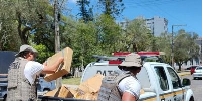 Cerca de duas toneladas e meia de pescado e 60 kg de camarão impróprios para o consumo são apreendidos em Rio Grande