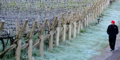 Madrugada de domingo pode repetir temperatura negativa no RS