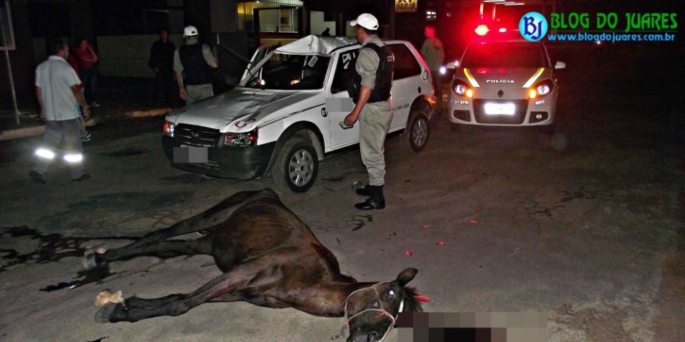 Camaquã - égua morre após se atravessar na frente de automóvel na faixinha. Motorista saiu ileso