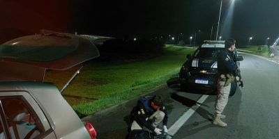 PRF prende homem transportando cinco pistolas em carro roubado em Canoas