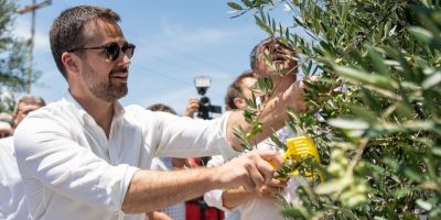 Leite participa da Abertura Oficial da Colheita da Oliva em Encruzilhada do Sul