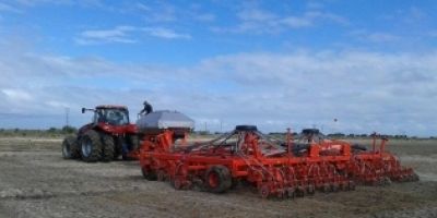 Plantio de arroz atinge 61.766 hectares no Rio Grande do Sul