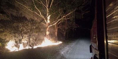 Incêndio em vegetação é registrado na estrada da Costa Doce em Arambaré