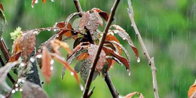 Em período de chuvas no RS, inicia a primavera. Estação abrange todo o hemisfério Sul