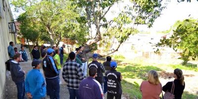 Prefeitura de Camaquã promove curso de técnicas e formas de poda de árvores